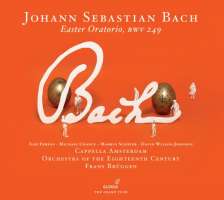 Bach: Easter Oratorio BWV 249, Organ Concerto